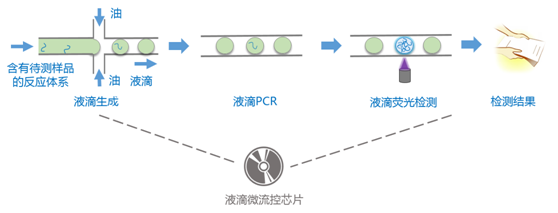 数字PCR